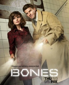 Download Bones 7ª Temporada